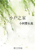 小戶之家小说封面