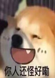 大小姐她笨笨的(NPH)